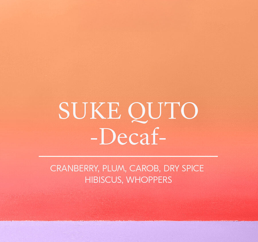 Suke Quto Decaf